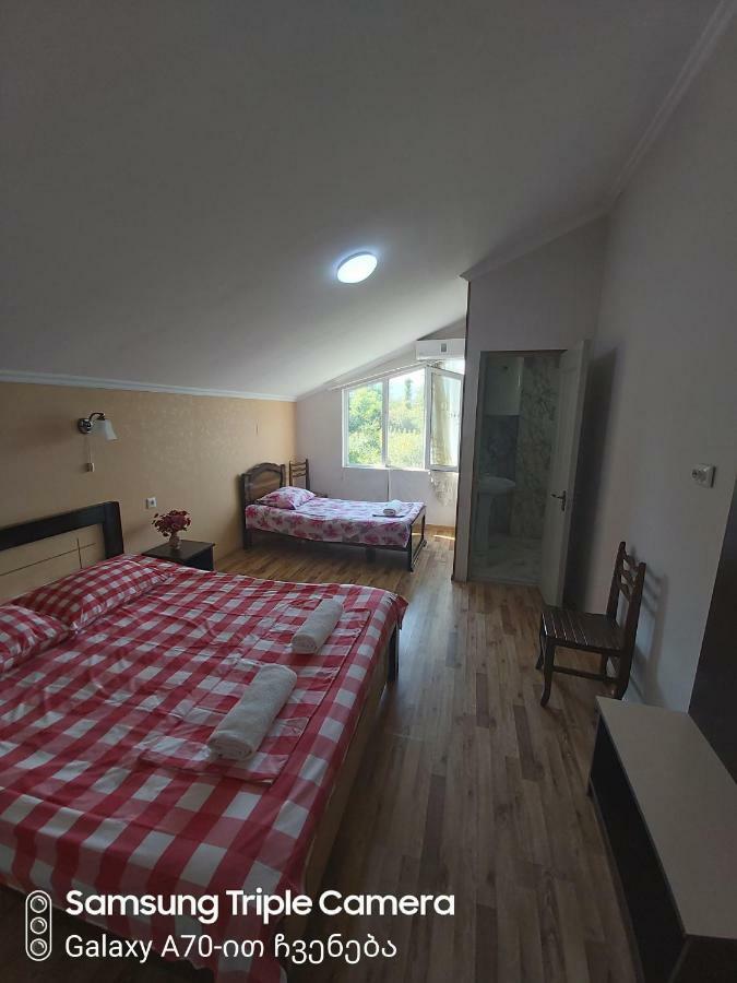 Martvili Newhotel 외부 사진